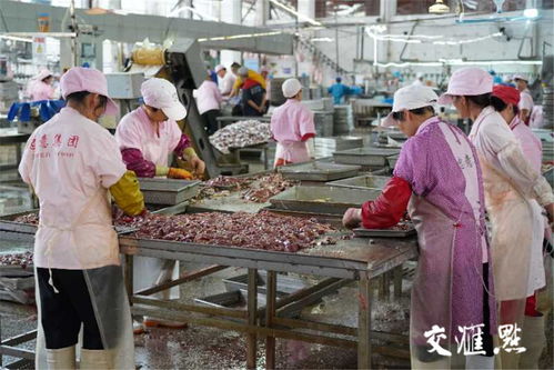 完善生態(tài)鏈,拉長產(chǎn)業(yè)鏈,扣緊利益鏈 徐州沛縣這樣穩(wěn)住80億元鴨產(chǎn)業(yè)